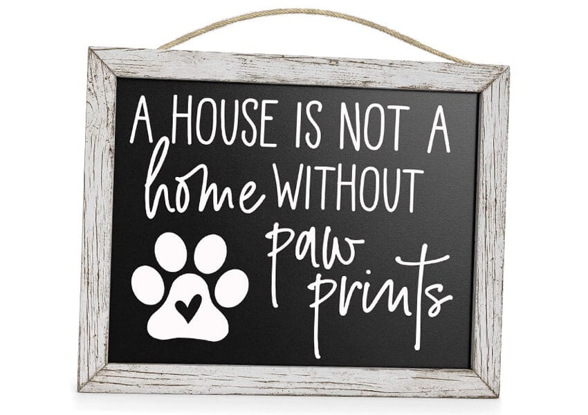 Download Paw Prints Svg Free Svg Cut Files For Cricut And Silhouette