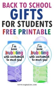 Back to School Gifts for Students - DIY Bubbles with Free Printable!