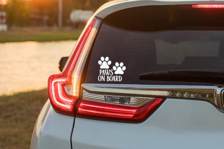 Vinyl Car Decals Easily Make Your Own with Cricut!
