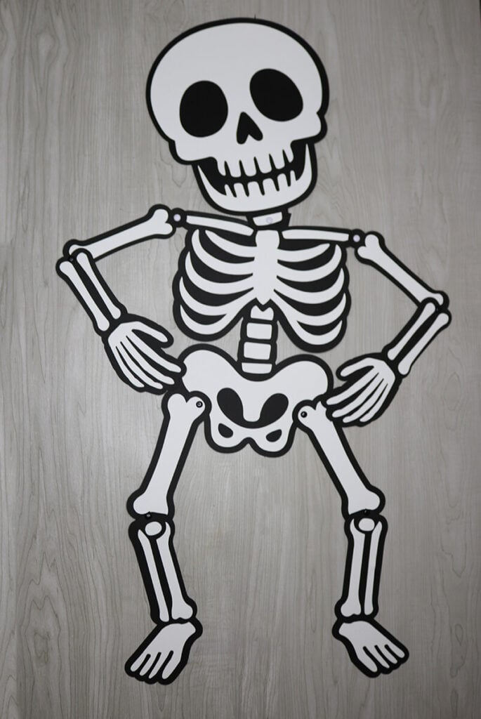poseable skeleton SVG