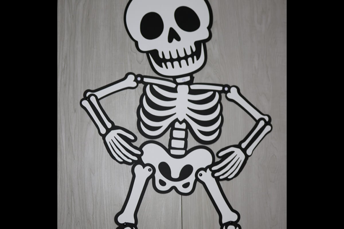 Skeleton SVG